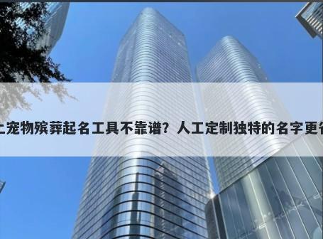 网上宠物殡葬起名工具不靠谱？人工定制独特的名字更省心