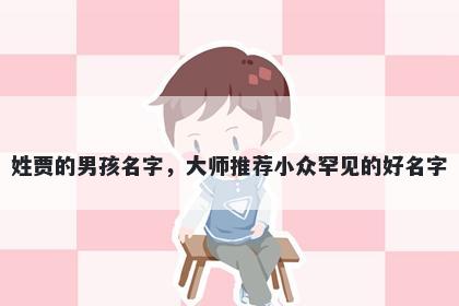 姓贾的男孩名字，大师推荐小众罕见的好名字