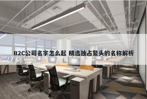 B2C公司名字怎么起 精选独占鳌头的名称解析