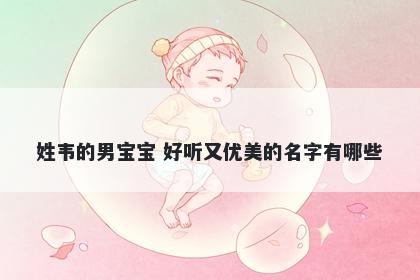 姓韦的男宝宝 好听又优美的名字有哪些