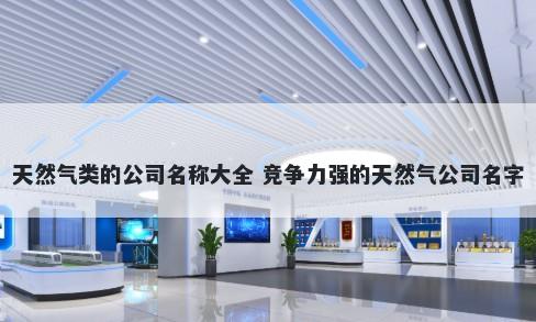 天然气类的公司名称大全 竞争力强的天然气公司名字