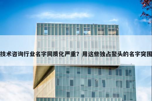 技术咨询行业名字同质化严重？用这些独占鳌头的名字突围