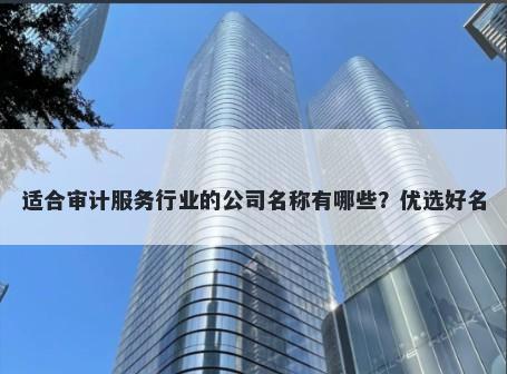适合审计服务行业的公司名称有哪些？优选好名