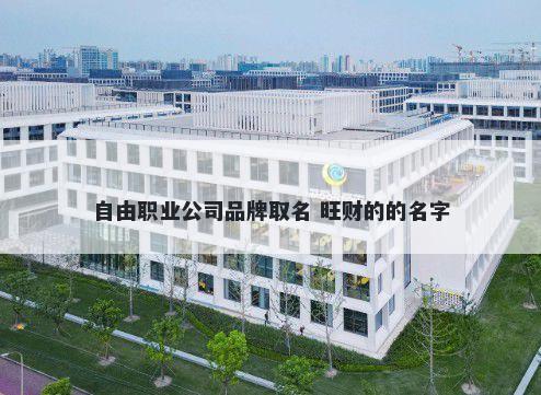自由职业公司品牌取名 旺财的的名字