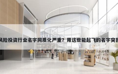 风险投资行业名字同质化严重？用这些能起飞的名字突围