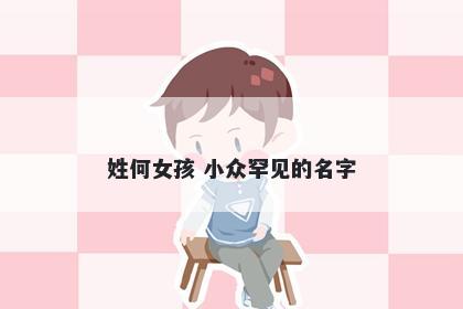 姓何女孩 小众罕见的名字