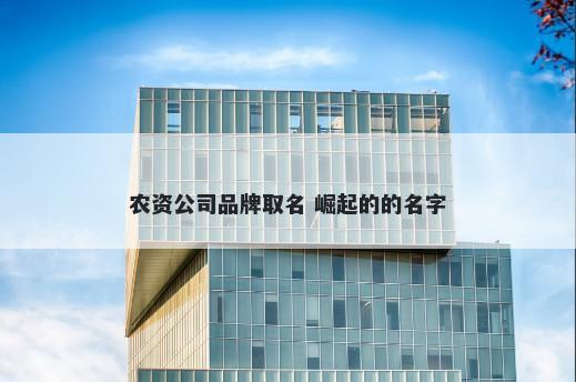 农资公司品牌取名 崛起的的名字