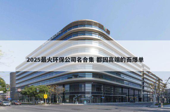 2025最火环保公司名合集 都因高端的而爆单