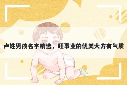 卢姓男孩名字精选，旺事业的优美大方有气质