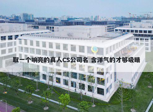 取一个响亮的真人CS公司名 含洋气的才够吸睛