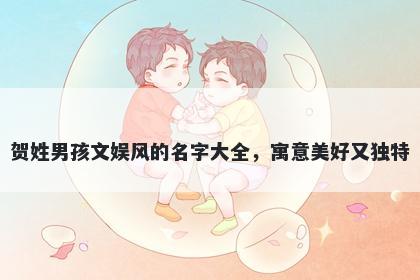 贺姓男孩文娱风的名字大全，寓意美好又独特