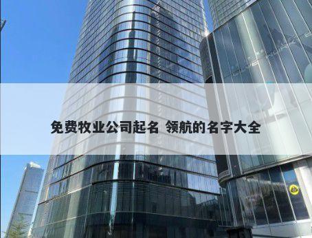 免费牧业公司起名 领航的名字大全