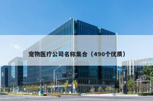 宠物医疗公司名称集合（490个优质）