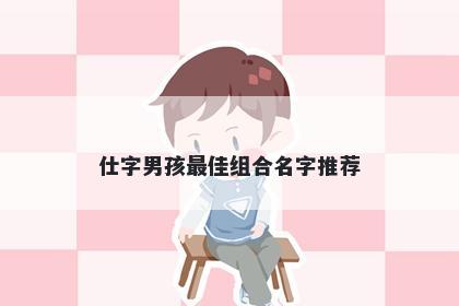 仕字男孩最佳组合名字推荐