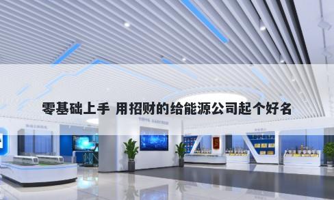 零基础上手 用招财的给能源公司起个好名