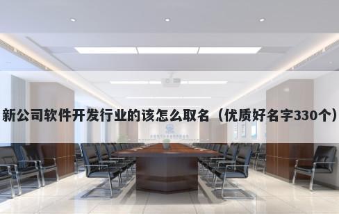 新公司软件开发行业的该怎么取名（优质好名字330个）