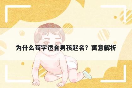 为什么荀字适合男孩起名？寓意解析