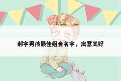 郝字男孩最佳组合名字，寓意美好