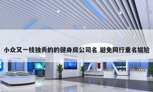 小众又一枝独秀的的健身房公司名 避免同行重名尴尬