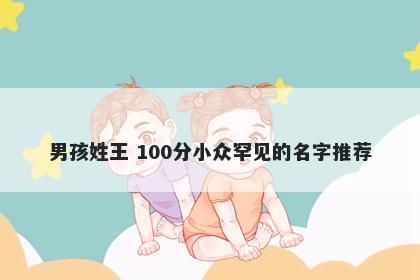 男孩姓王 100分小众罕见的名字推荐