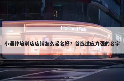 小语种培训店店铺怎么起名好？首选适应力强的名字