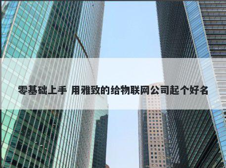 零基础上手 用雅致的给物联网公司起个好名