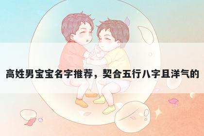 高姓男宝宝名字推荐，契合五行八字且洋气的