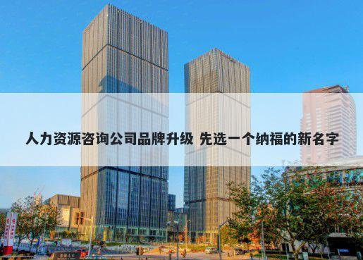 人力资源咨询公司品牌升级 先选一个纳福的新名字