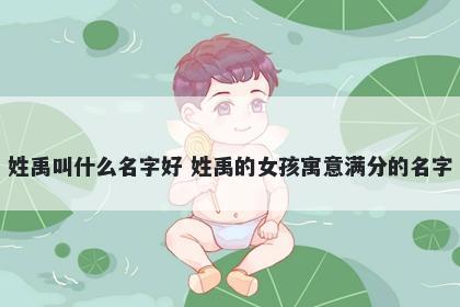 姓禹叫什么名字好 姓禹的女孩寓意满分的名字
