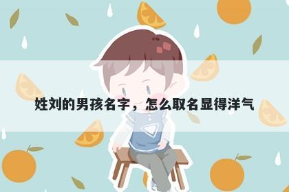 姓刘的男孩名字，怎么取名显得洋气