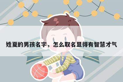 姓夏的男孩名字，怎么取名显得有智慧才气