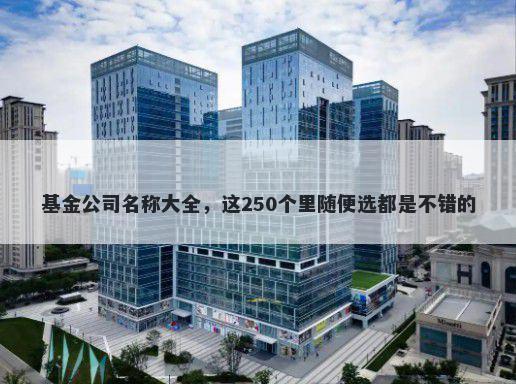 基金公司名称大全，这250个里随便选都是不错的