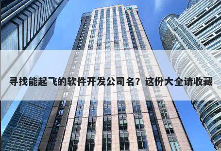 寻找能起飞的软件开发公司名？这份大全请收藏