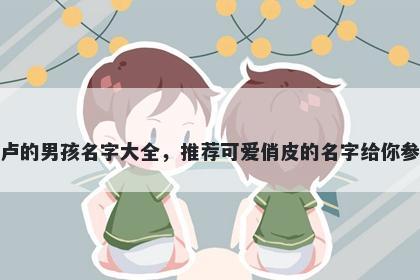 姓卢的男孩名字大全，推荐可爱俏皮的名字给你参考