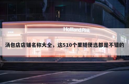 汤包店店铺名称大全，这510个里随便选都是不错的