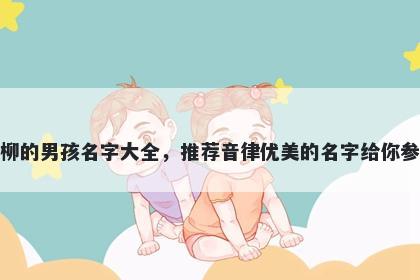 姓柳的男孩名字大全，推荐音律优美的名字给你参考