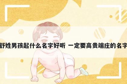 舒姓男孩起什么名字好听 一定要高贵端庄的名字