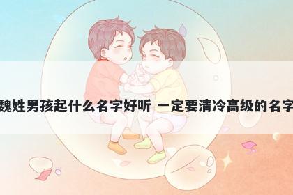 魏姓男孩起什么名字好听 一定要清冷高级的名字