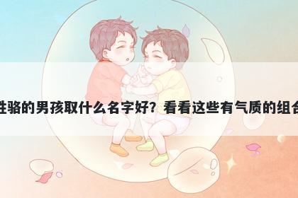 姓骆的男孩取什么名字好？看看这些有气质的组合