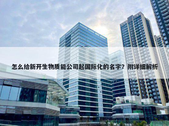 怎么给新开生物质能公司起国际化的名字？附详细解析