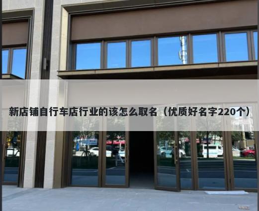 新店铺自行车店行业的该怎么取名（优质好名字220个）