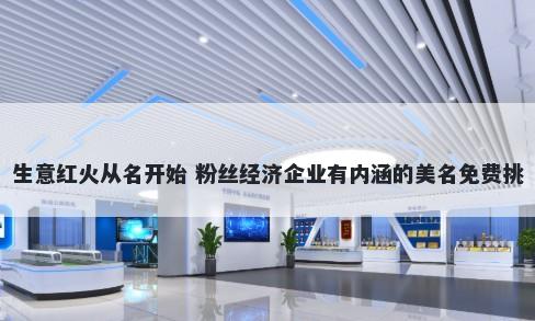 生意红火从名开始 粉丝经济企业有内涵的美名免费挑