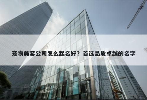 宠物美容公司怎么起名好？首选品质卓越的名字
