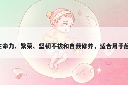 葶字女孩名字推荐，寓意葶这个字寓意着生命力、繁荣、坚韧不拔和自我修养，适合用于起名表达生命、事业和精神力量的美好寓意。