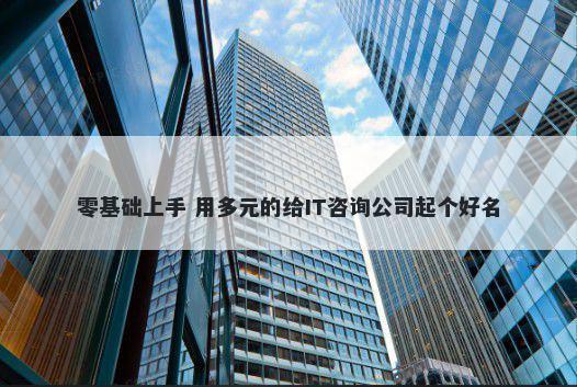 零基础上手 用多元的给IT咨询公司起个好名