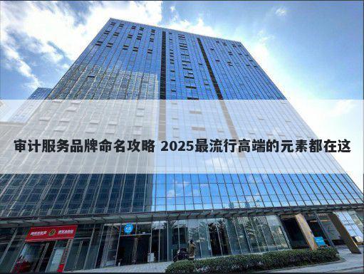 审计服务品牌命名攻略 2025最流行高端的元素都在这