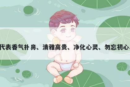 芷字五行属木，取名寓意芷这个字用于起名时，可以代表香气扑鼻、清雅高贵、净化心灵、勿忘初心、品德高尚、自信坚定等美好寓意，适合给女孩起名。