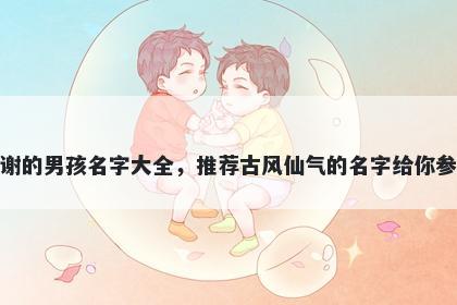 姓谢的男孩名字大全，推荐古风仙气的名字给你参考