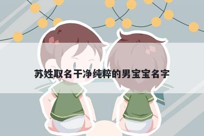 苏姓取名干净纯粹的男宝宝名字