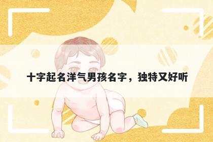 十字起名洋气男孩名字，独特又好听